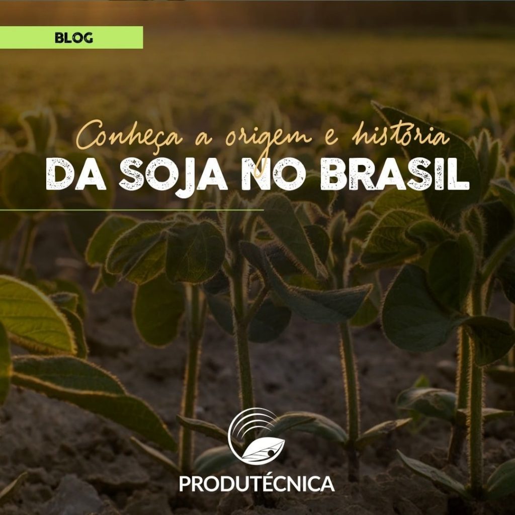 Produtécnica Soja no Brasil
