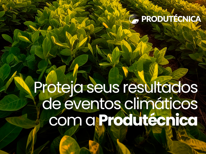 Proteja seus resultados de eventos climáticos com a Produtécnica